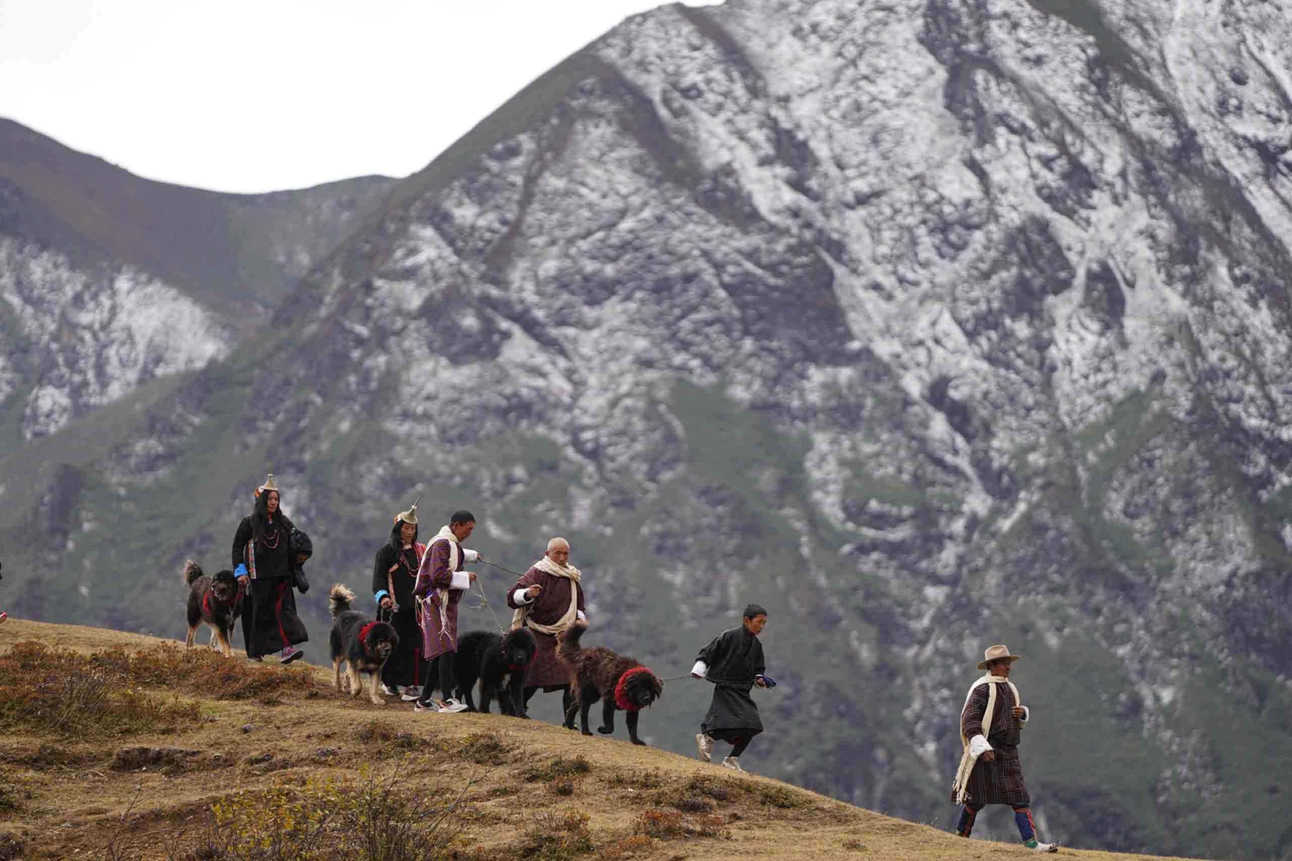 royal hiland festival