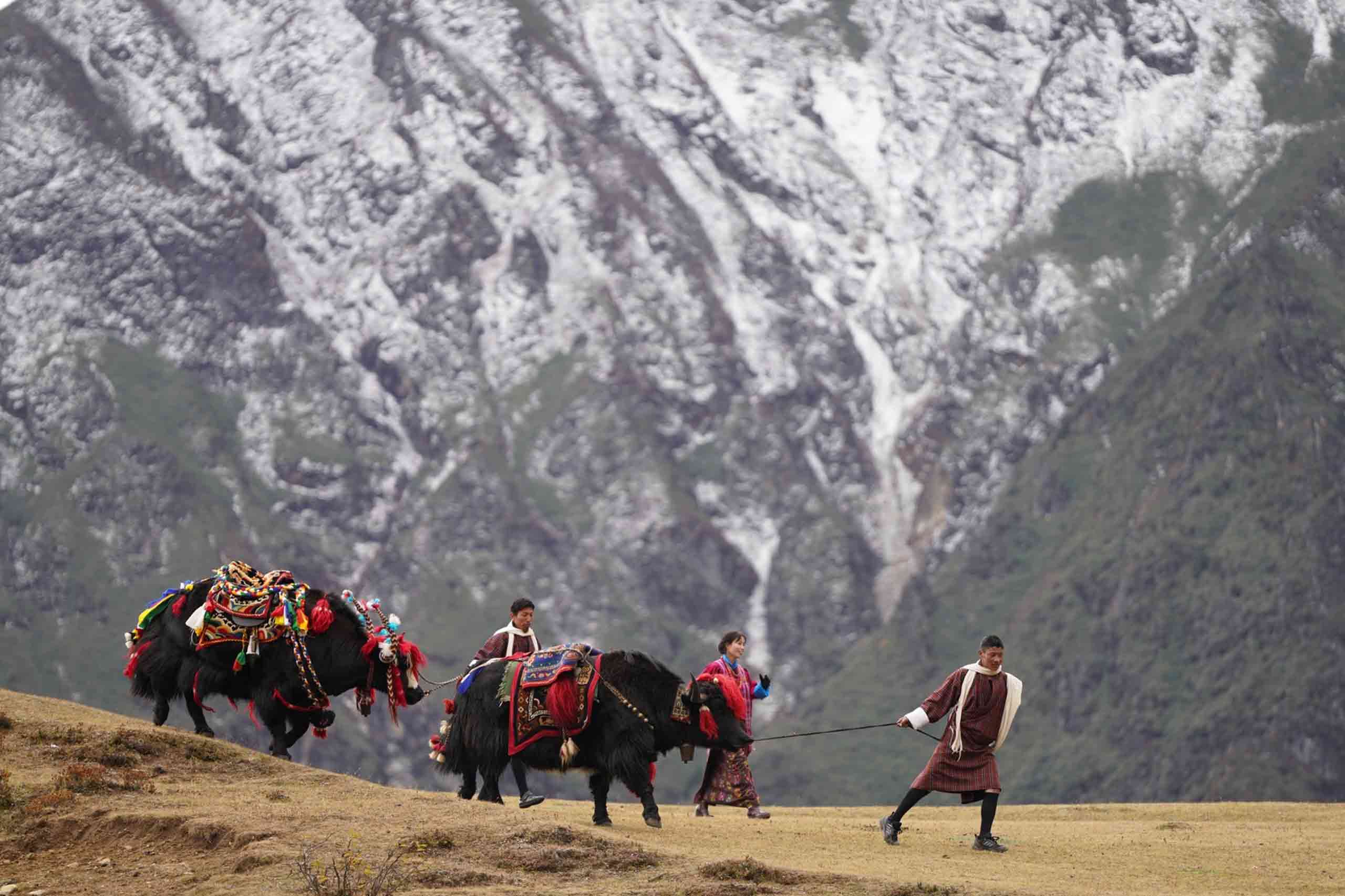 royal hiland festival1