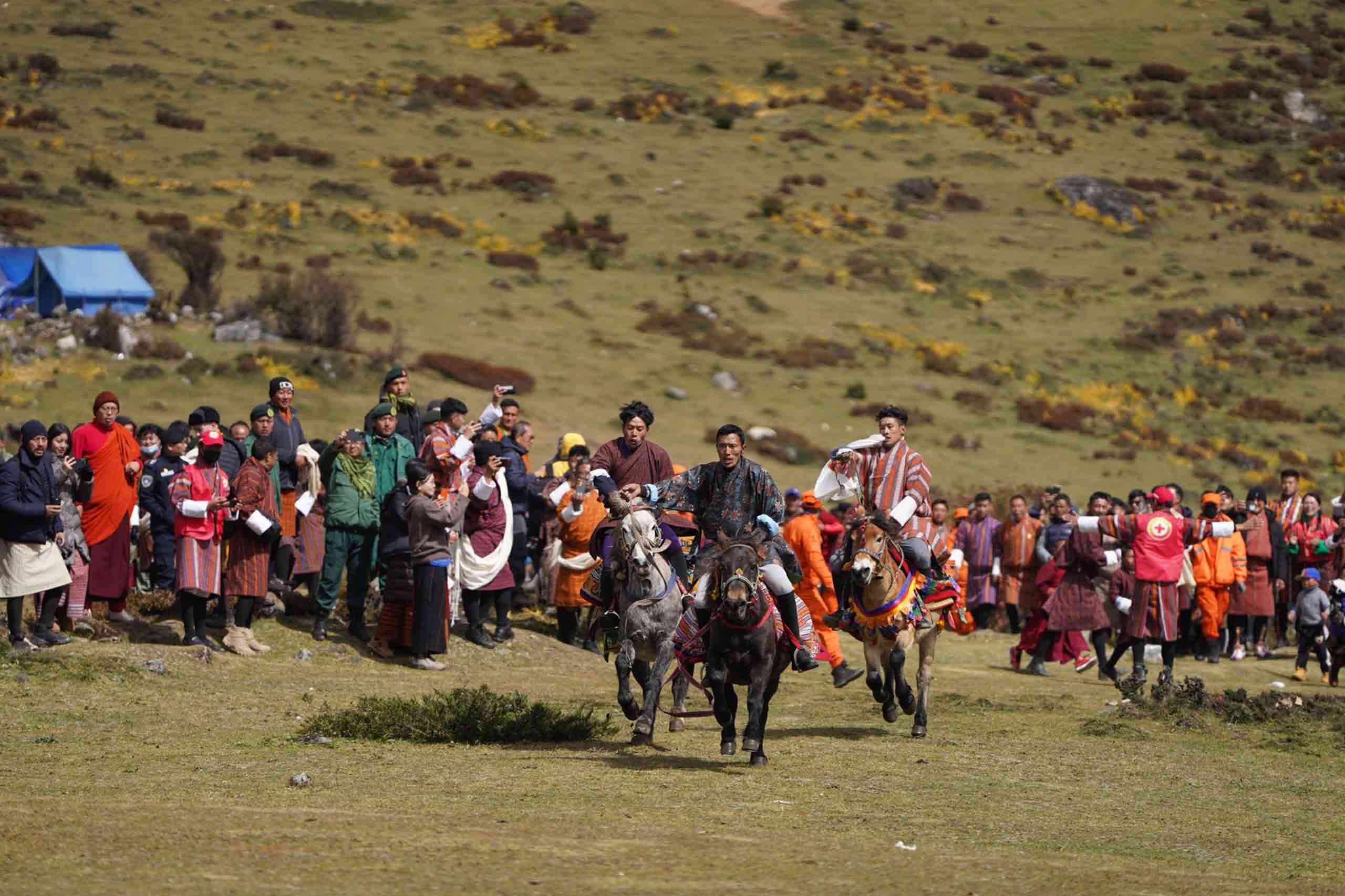 royal hiland festival5